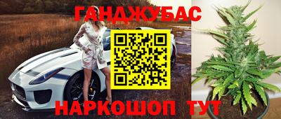 МДПВ Партизанск