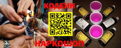 МДПВ Партизанск