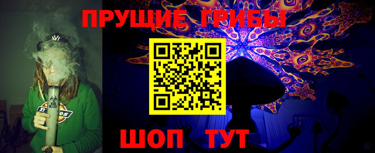 Псков  Галлюциногенные грибы Magic Shrooms  Вход с VPN 